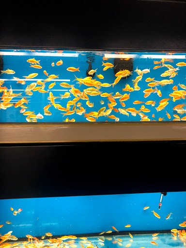 Pet Supply Store «Petco Animal Supplies», reviews and photos, 8500 Henry Ave #10, Philadelphia, PA 19128, USA