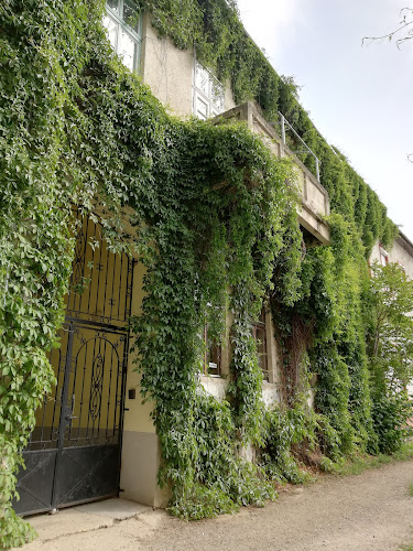 Opinii despre Jászai Mari utcai parkoló în Debrecen - Parkoló