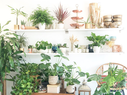 Florist «Aquarela Gifts & Flowers», reviews and photos, 128 S Myrtle Ave, Monrovia, CA 91016, USA