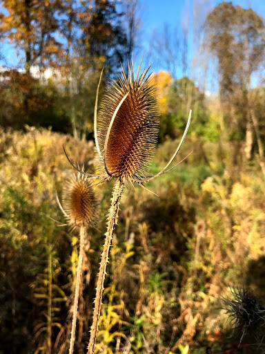 Nature Preserve «Farmington Hills Nature Center», reviews and photos, 24915 Farmington Rd, Farmington Hills, MI 48336, USA