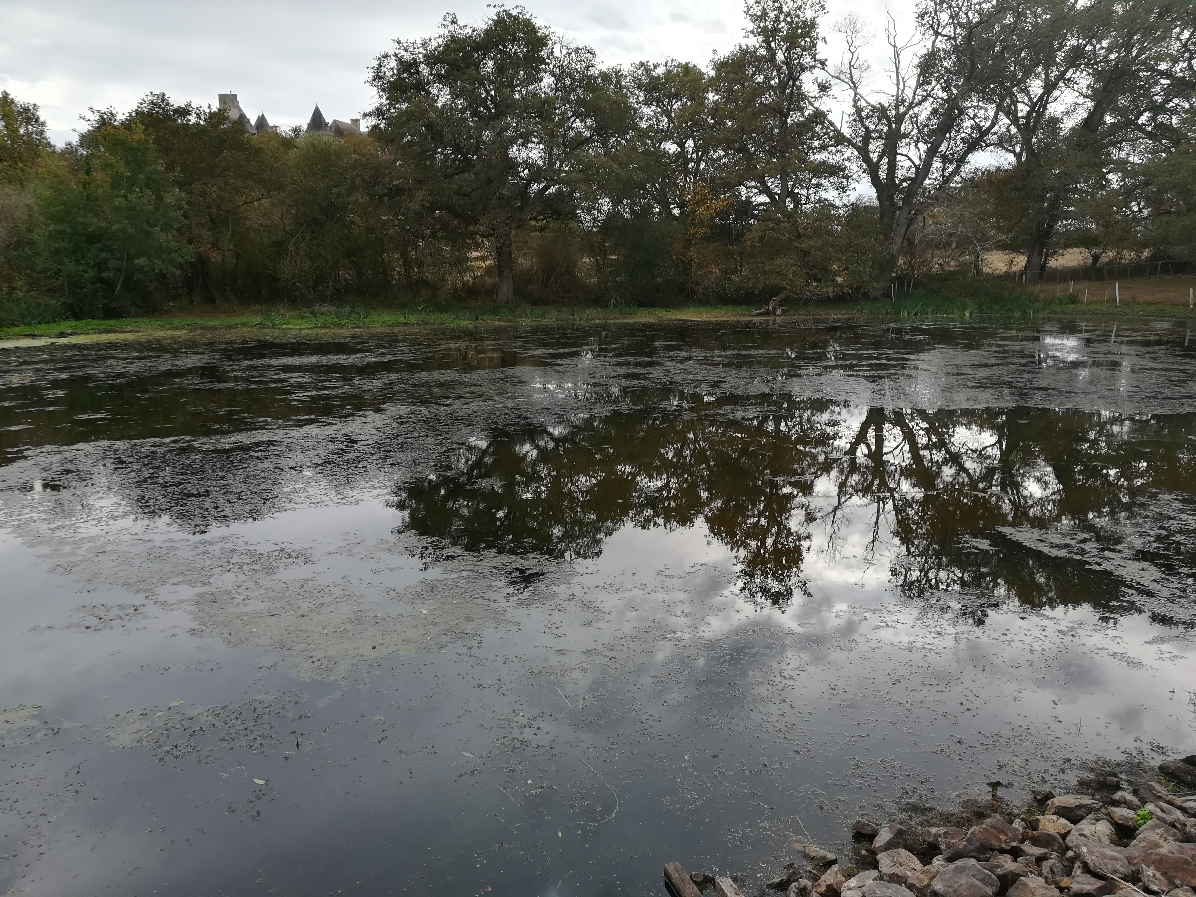 Photo n° 6 de l'avis de Bachir.e fait le 12/10/2018 à 15:18