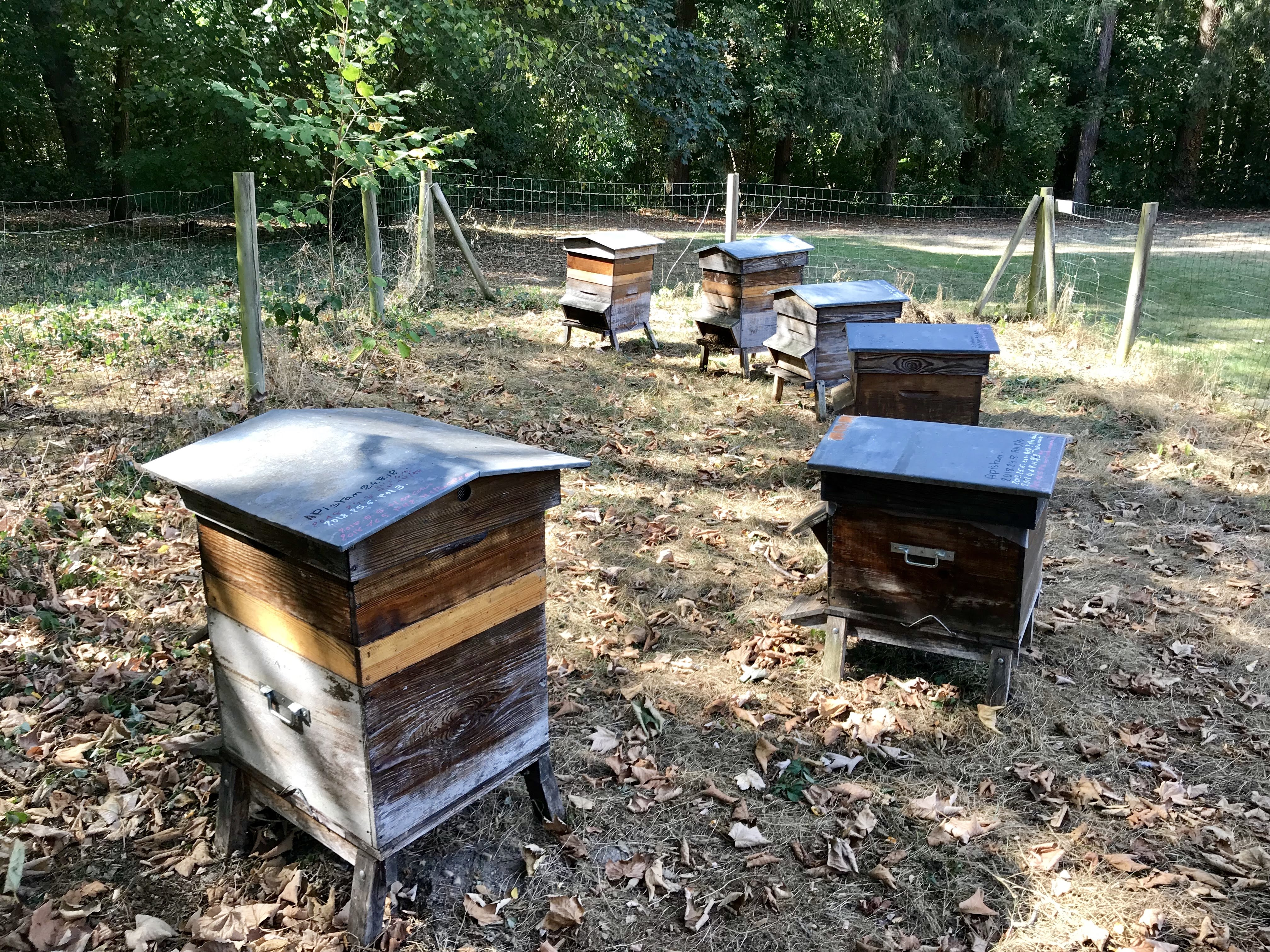 Photo n° 3 de l'avis de Sophie.o fait le 17/09/2018 à 19:47