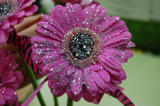 Florist «Mayfield Floral Inc.», reviews and photos, 6109 Mayfield Rd, Mayfield Heights, OH 44124, USA