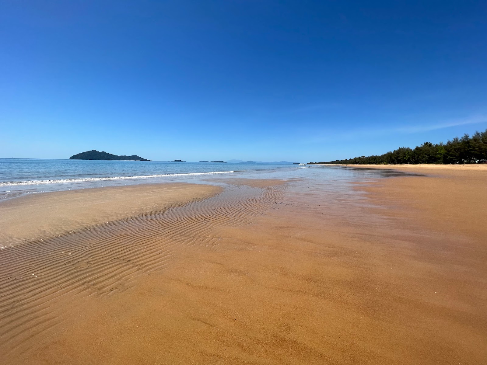Mission Beach Foreshore'in fotoğrafı çok temiz temizlik seviyesi ile