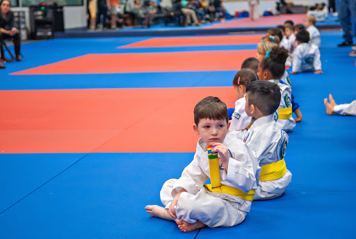 American Martial Arts Academy image