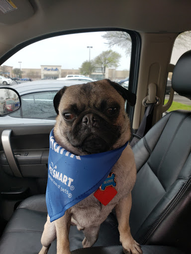Pet Supply Store «PetSmart», reviews and photos, 1050 McKinley Pl Dr #30, San Marcos, TX 78666, USA
