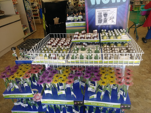 Dollar Store «Dollar Tree», reviews and photos, 17418 Northwest Fwy, Jersey Village, TX 77040, USA