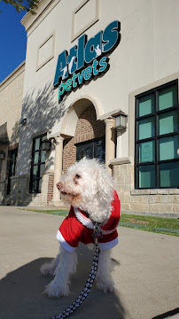 Atlas Pet Vets