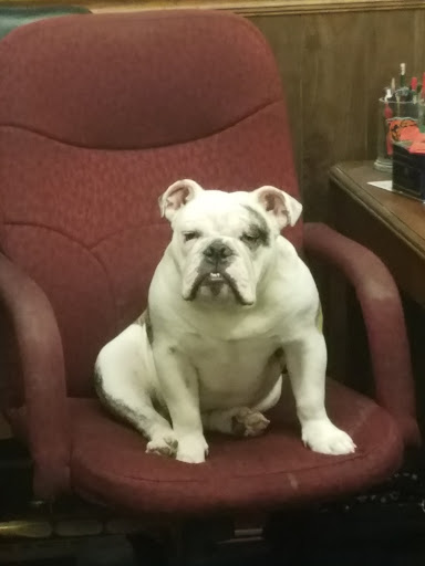 Barber Shop «Floyds Barber Shop», reviews and photos, 107 W Sale St, Tuscola, IL 61953, USA