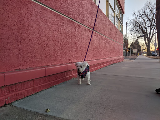 Art Supply Store «H R Meininger Co», reviews and photos, 201 S Weber St, Colorado Springs, CO 80903, USA