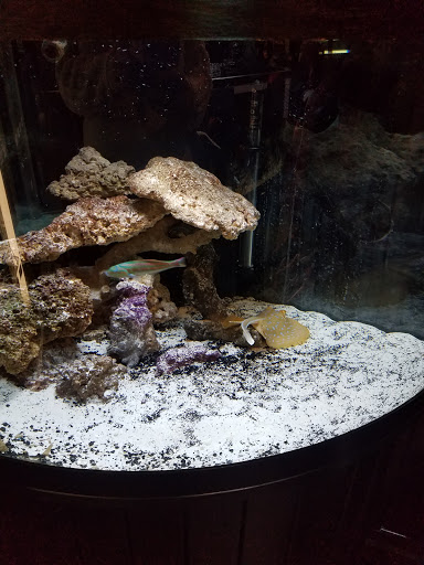 Pet Store «Pets Plus Inc», reviews and photos, 2610 Jefferson Davis Hwy, Stafford, VA 22554, USA