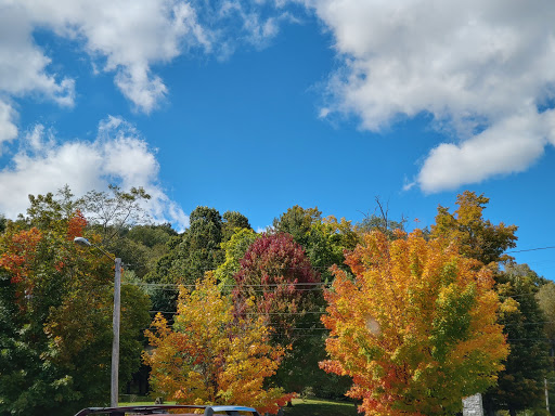 Bar & Grill «River Street Ale House», reviews and photos, 957 Rivers St, Boone, NC 28607, USA