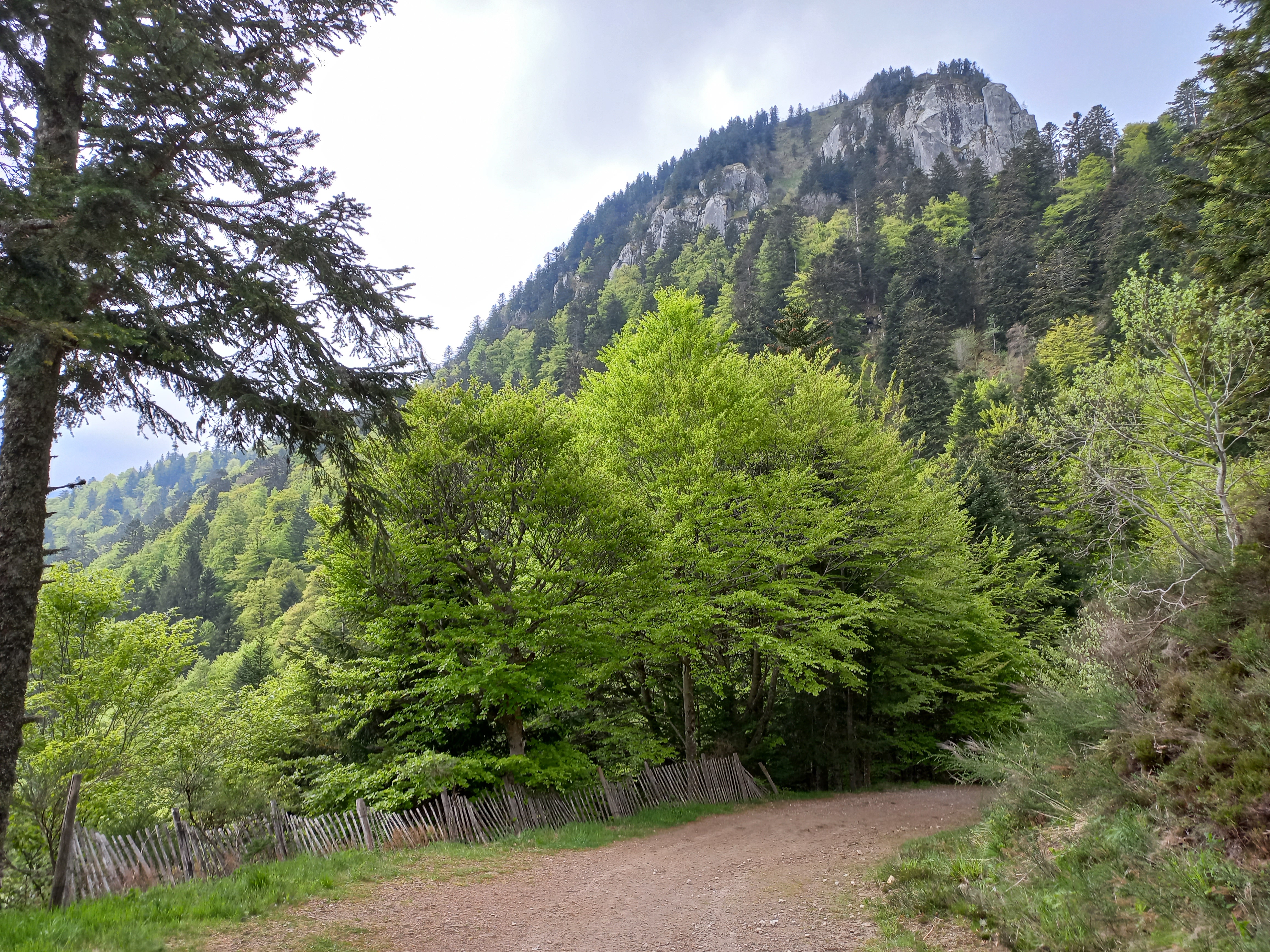 Photo n° 2 de l'avis de Franck.a fait le 30/05/2023 à 04:47