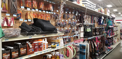 Home Improvement Store «Tractor Supply Co.», reviews and photos, 513 Nolan Dr, Smyrna, TN 37167, USA