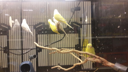 Pet Supply Store «PetSmart», reviews and photos, 5154 Nicholson Ln, Kensington, MD 20895, USA