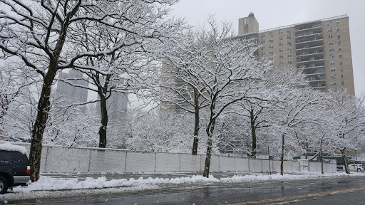Park «Harris Park», reviews and photos, Goulden Ave, Bronx, NY 10468, USA