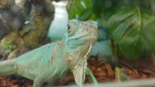 Pet Supply Store «Petco Animal Supplies», reviews and photos, 2420 Eastern Blvd, York, PA 17402, USA