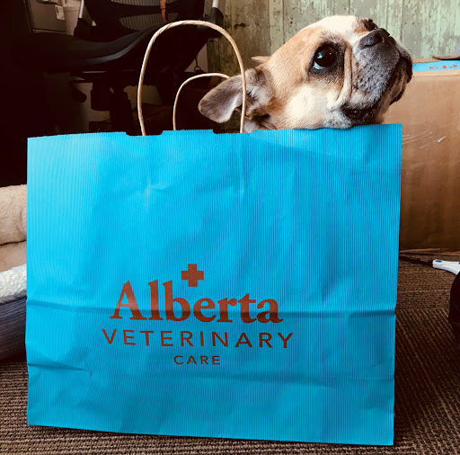 Alberta Veterinary Care