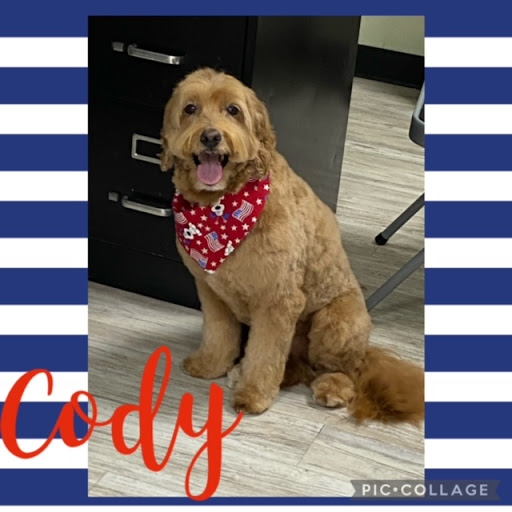 Pet Store «DipidyDawg Gourmet Dog Bakery & Boutique», reviews and photos, 21301 S Tamiami Trail Suite 430, Estero, FL 33928, USA