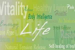 Body Stress Release - Cheshire image