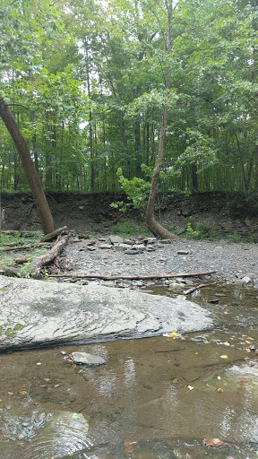 Nature Preserve «Sweedler and Thayer Preserves», reviews and photos, 10 Townline Rd, Ithaca, NY 14850, USA