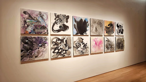 Art Museum «Nerman Museum of Contemporary Art», reviews and photos, 12345 College Blvd, Overland Park, KS 66210, USA