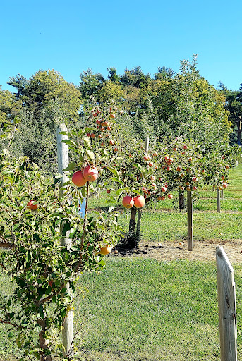 Farm «Arbor Day Farm», reviews and photos, 2611 Arbor Ave, Nebraska City, NE 68410, USA