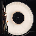 Photo n°1 de l'avis de Marc.o fait le 11/01/2019 à 18:34 sur le  Tausend à Berlin