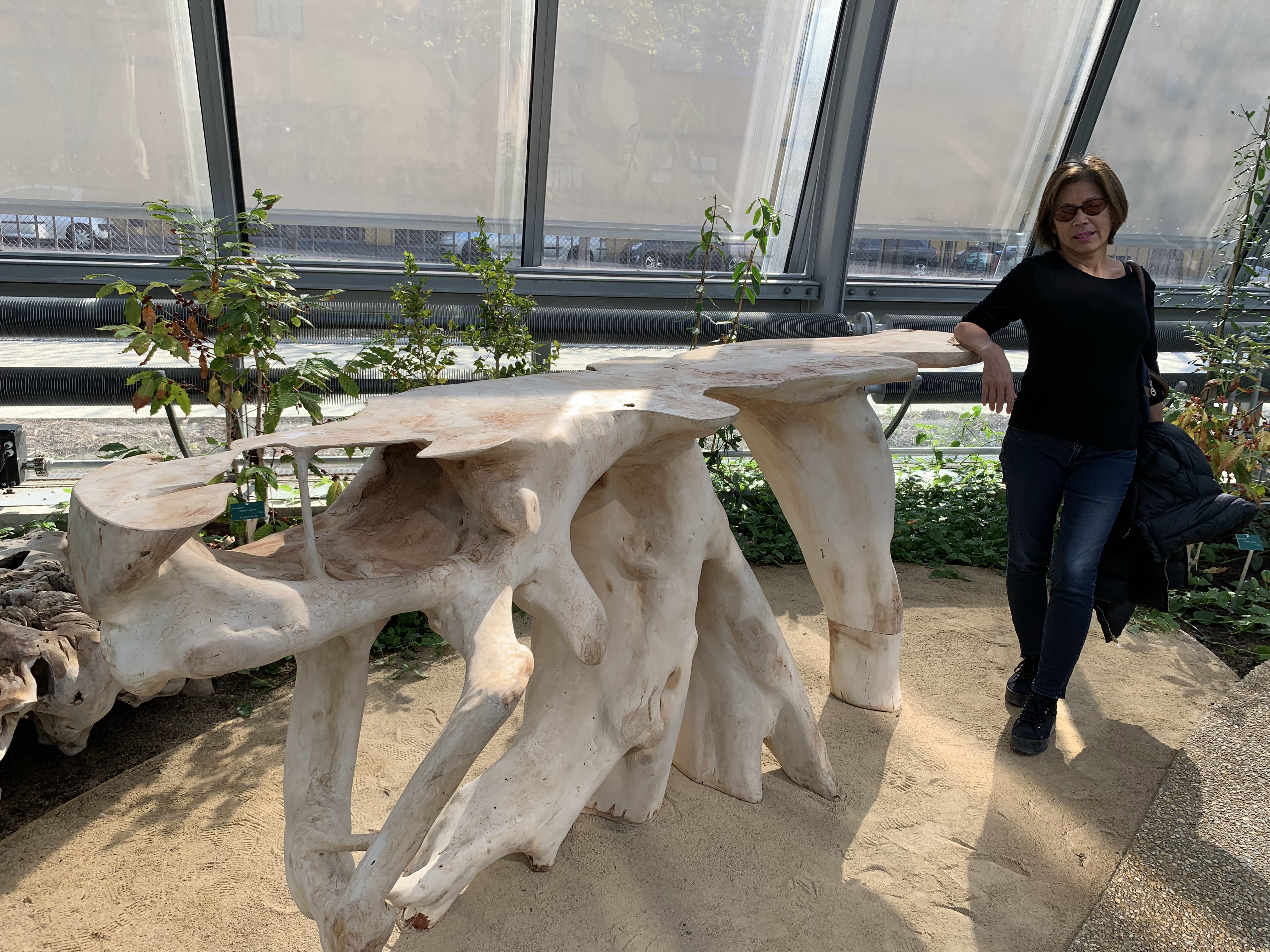 Photo n° 13 de l'avis de Huynh.h fait le 22/03/2019 à 19:10