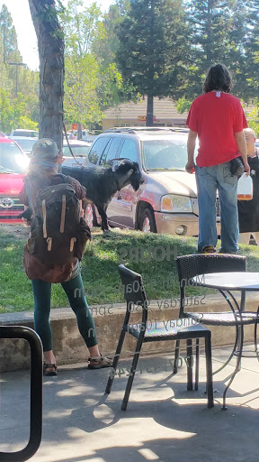 Starbucks image
