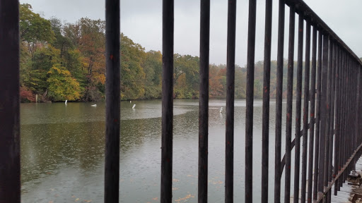 Nature Preserve «Lake Roland Nature Council», reviews and photos, 1000 Lakeside Dr, Baltimore, MD 21210, USA