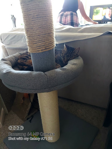 Thrift Store «Goodwill», reviews and photos, 390 Plaza Dr, Folsom, CA 95630, USA