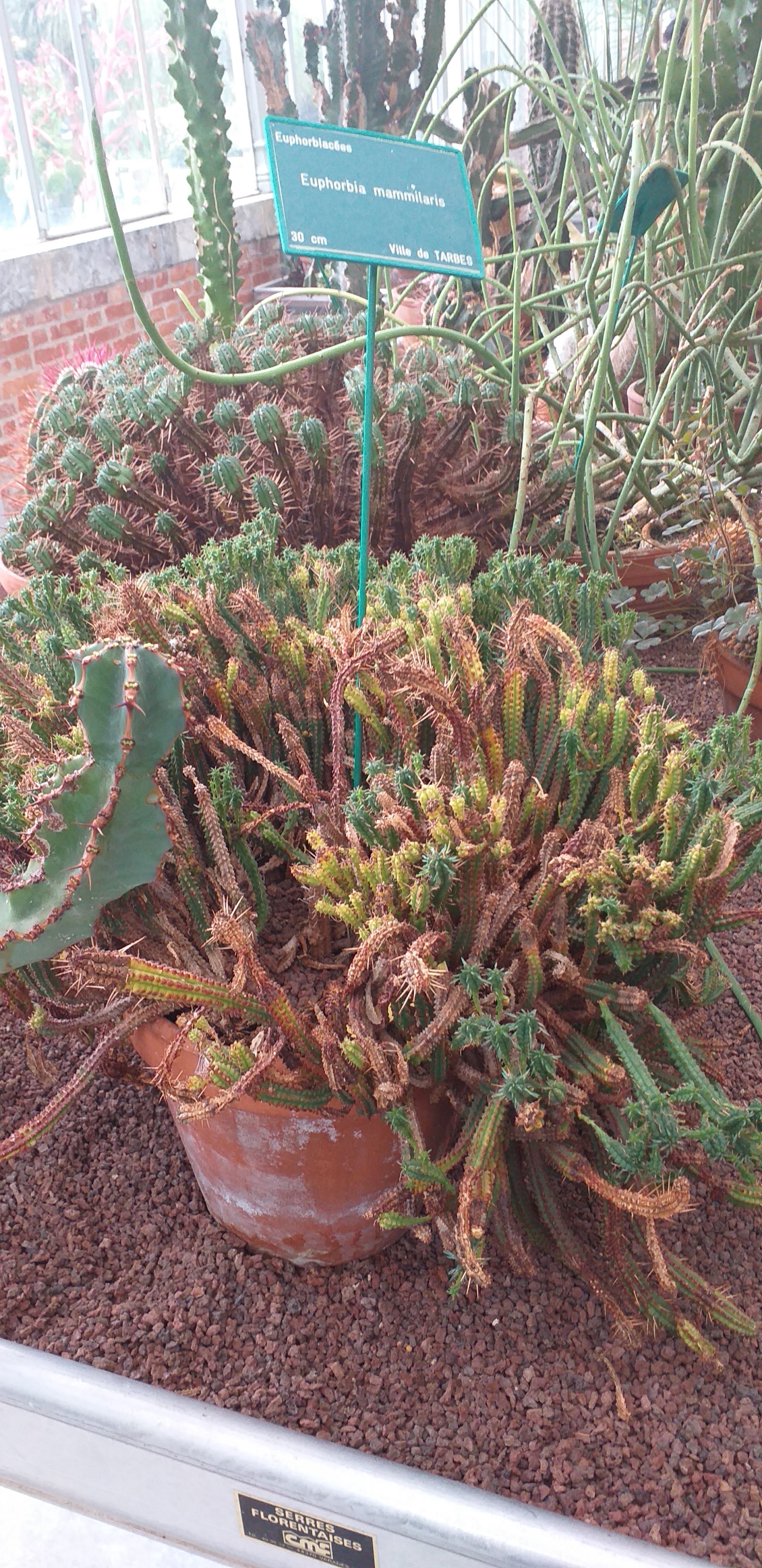 Photo n° 7 de l'avis de Jerome.l fait le 22/04/2019 à 15:06