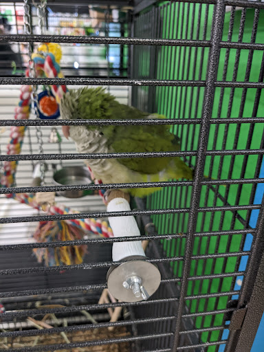 Pet Supply Store «Pet Supplies Plus», reviews and photos, 5708 State St, Saginaw, MI 48603, USA