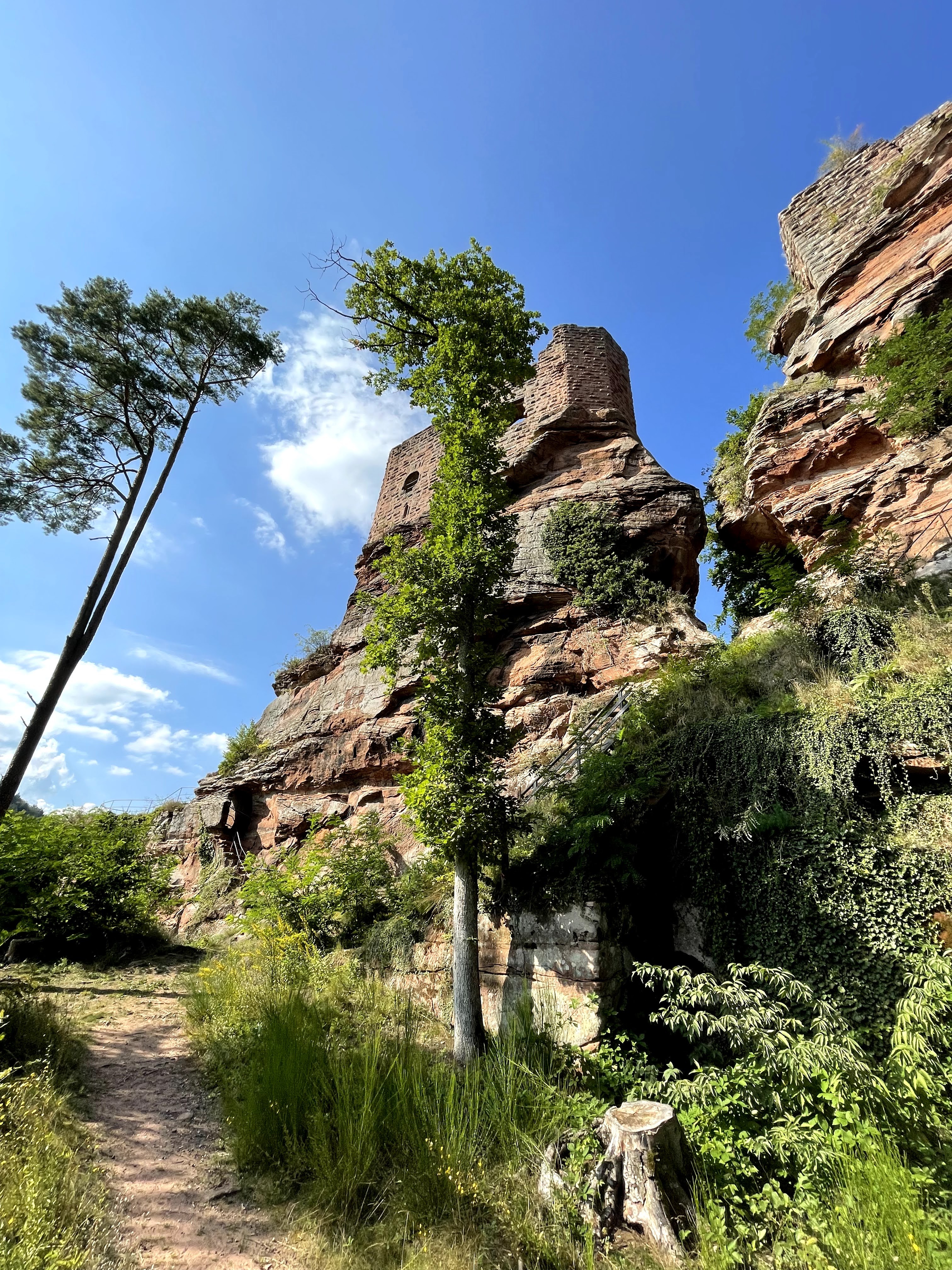 Photo n° 11 de l'avis de Tobi.s fait le 12/09/2021 à 23:40