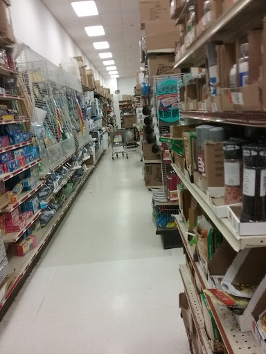 Discount Store «Ocean State Job Lot», reviews and photos, 100 Mazzeo Dr, Randolph, MA 02368, USA