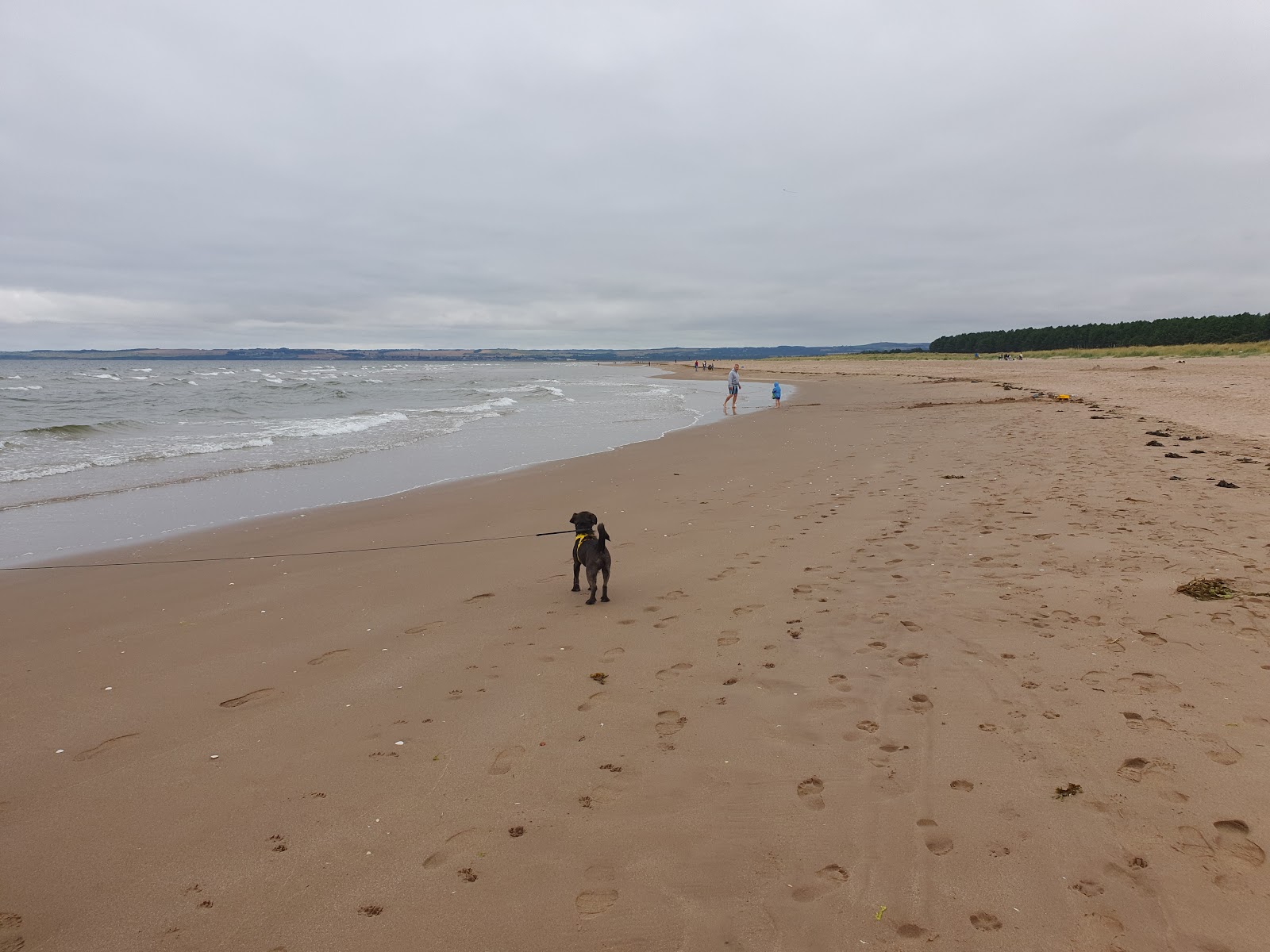 Kinshaldy Beach'in fotoğrafı düz ve uzun ile birlikte