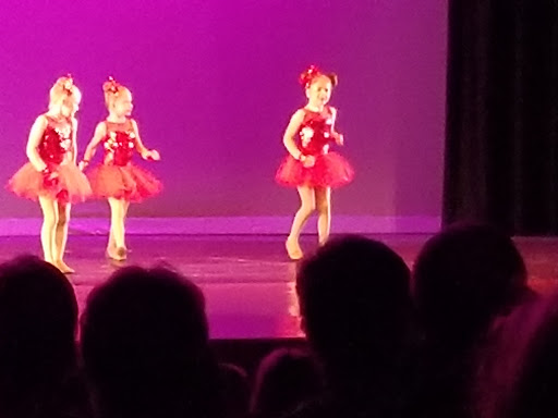 Performing Arts Theater «South Milwaukee Performing Arts Center», reviews and photos, 901 15th Ave, South Milwaukee, WI 53172, USA