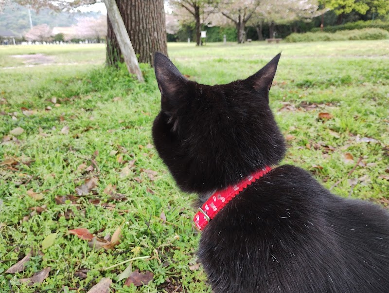 松山発電所記念公園