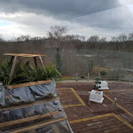 Photo n°2 de l'avis de Dirk.o fait le 14/02/2020 à 12:12 sur le  Roter Milan - Halle (Saale) à Halle (Saale)