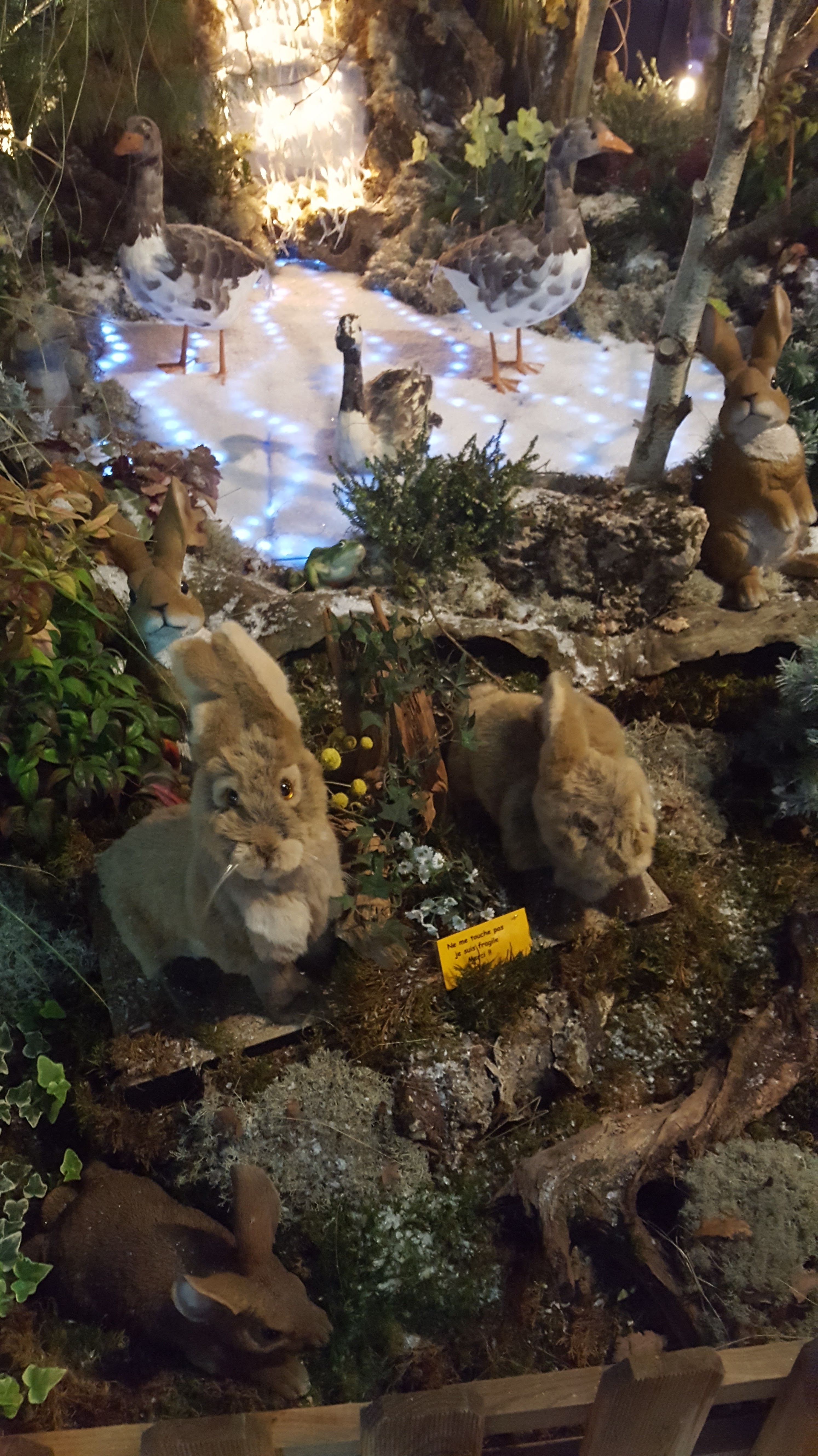 Photo n° 2 de l'avis de françoise.a fait le 16/12/2018 à 09:56