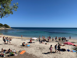 Zdjęcie Plaża Calamosca z poziomem czystości dość czysty
