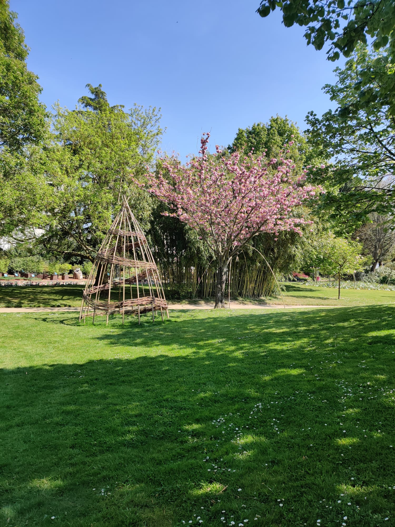 Photo n° 12 de l'avis de Pierre.N fait le 20/04/2022 à 22:27