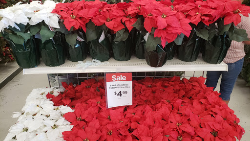 Craft Store «Michaels», reviews and photos, 2500 W International Speedway Blvd, Daytona Beach, FL 32114, USA