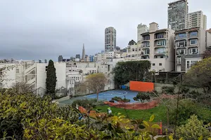 Michelangelo Playground image