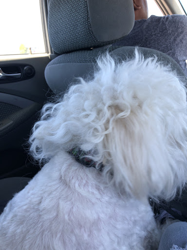 Pet Supply Store «Petco Animal Supplies», reviews and photos, 2765 Santa Rosa Ave, Santa Rosa, CA 95407, USA