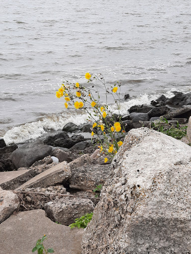 Tourist Attraction «Fond Du Lac Lighthouse», reviews and photos, Lighthouse Dr, Fond du Lac, WI 54935, USA