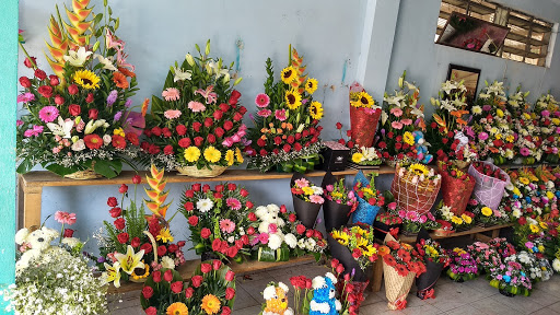 Paraiso Floreria's florería en  en la zona Ticul