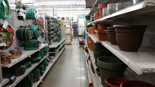 Hardware Store «Askari Ace 1 LLC», reviews and photos, 3802 N Monroe St, Tallahassee, FL 32303, USA