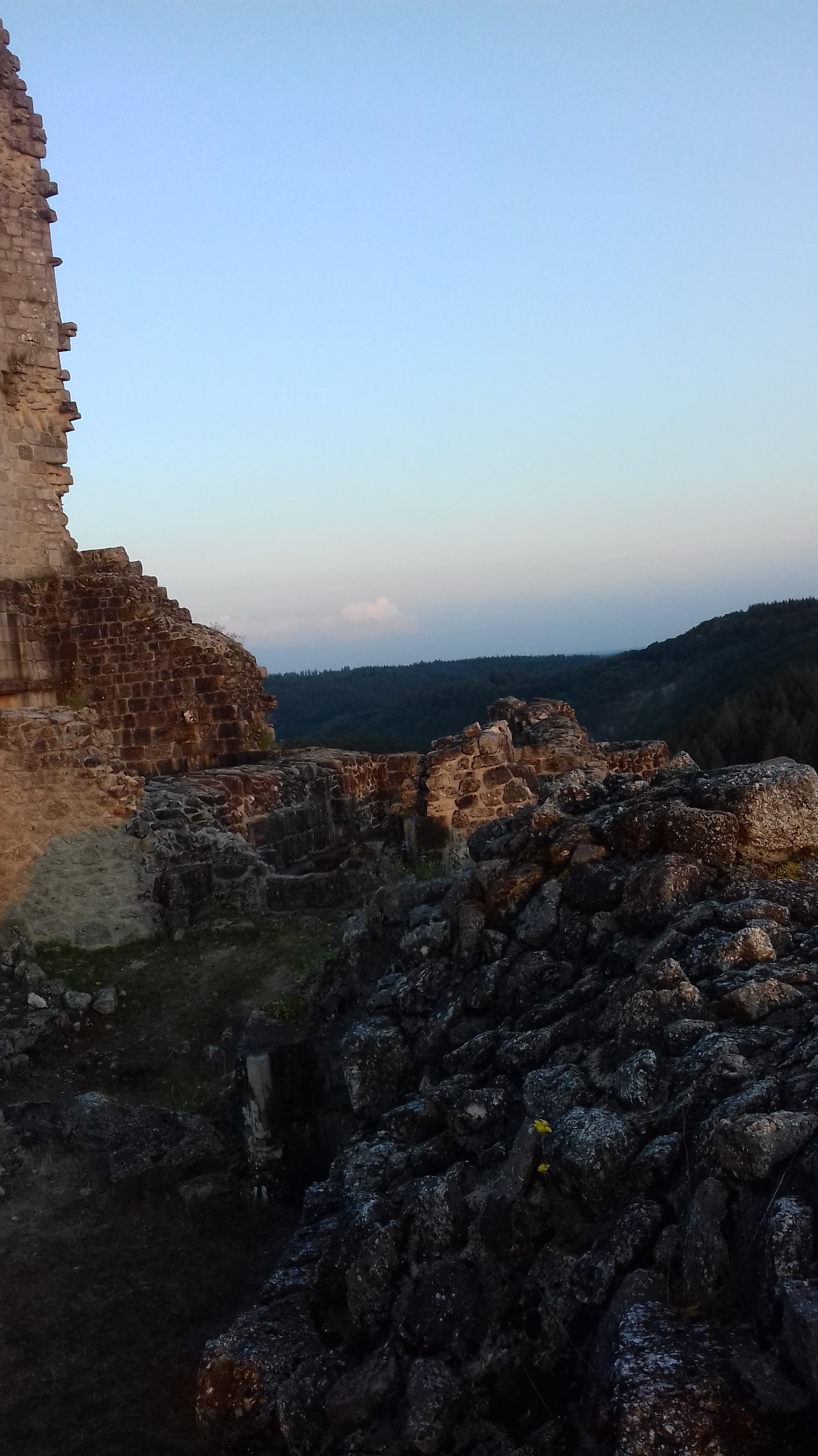 Photo n° 2 de l'avis de Dora.o fait le 07/07/2019 à 10:13